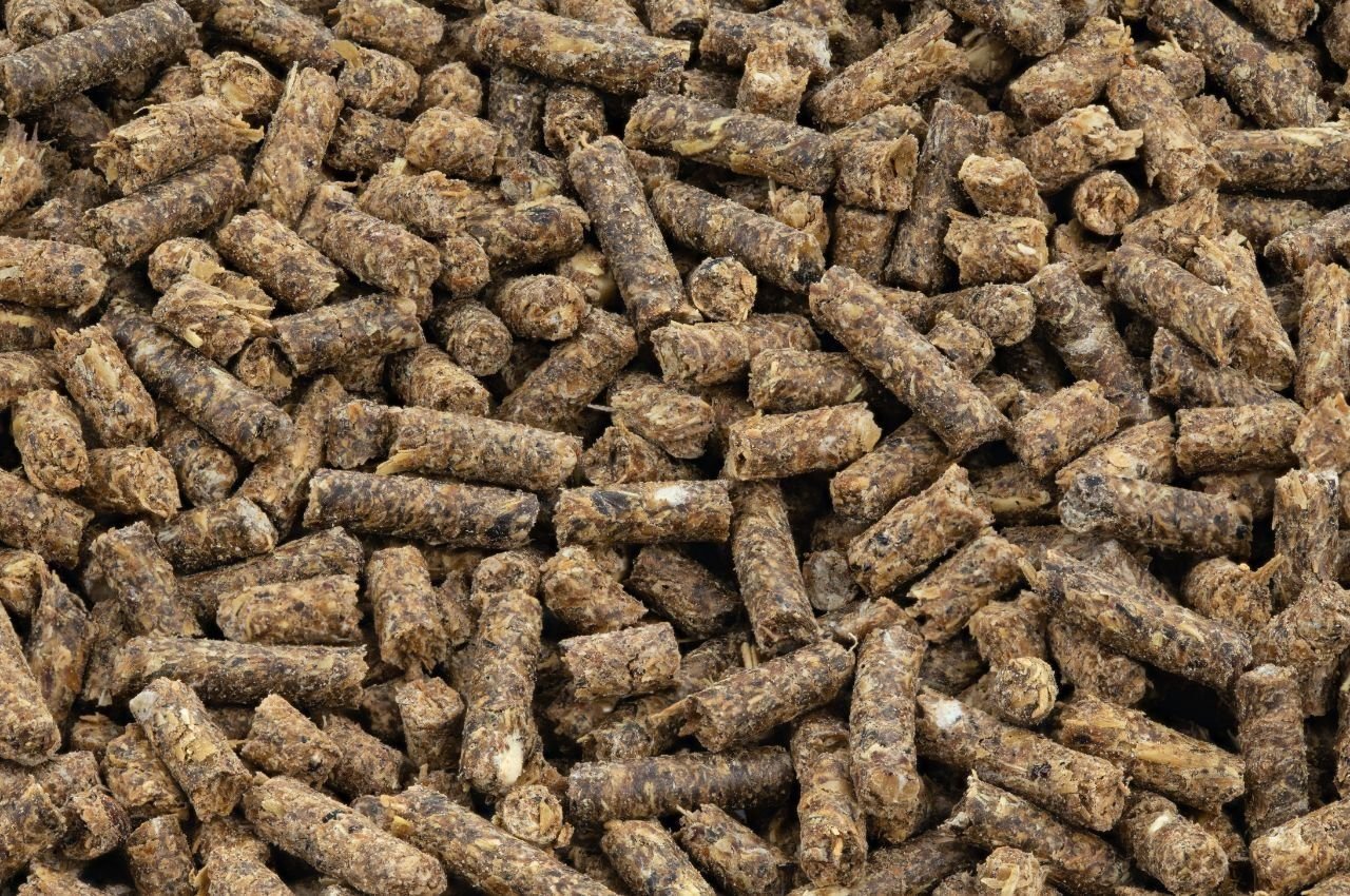 Should You Feed Alfalfa Pellets to Horses?
