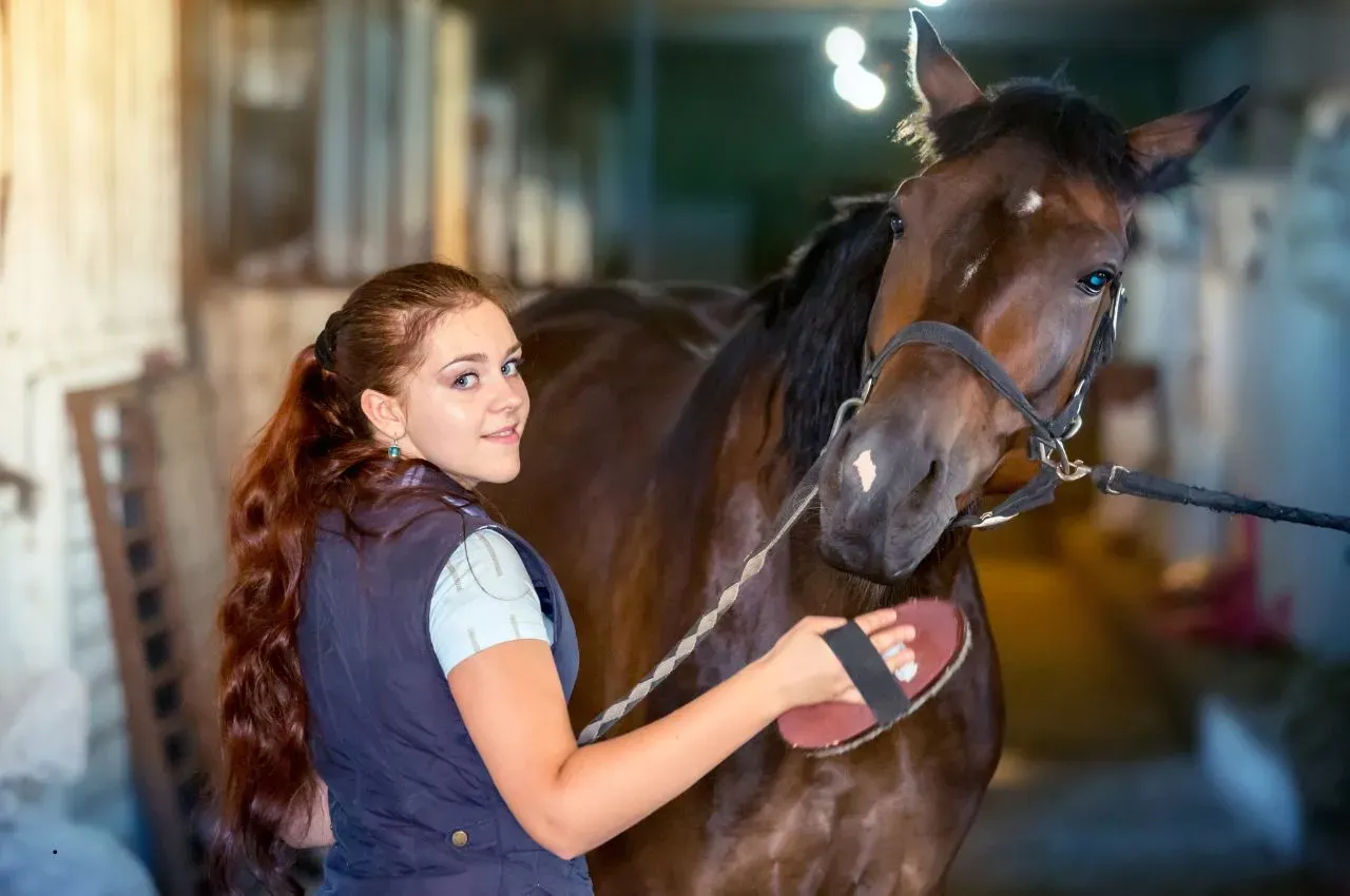 Horse Grooming Tips: 9 Steps for a Shiny Coat