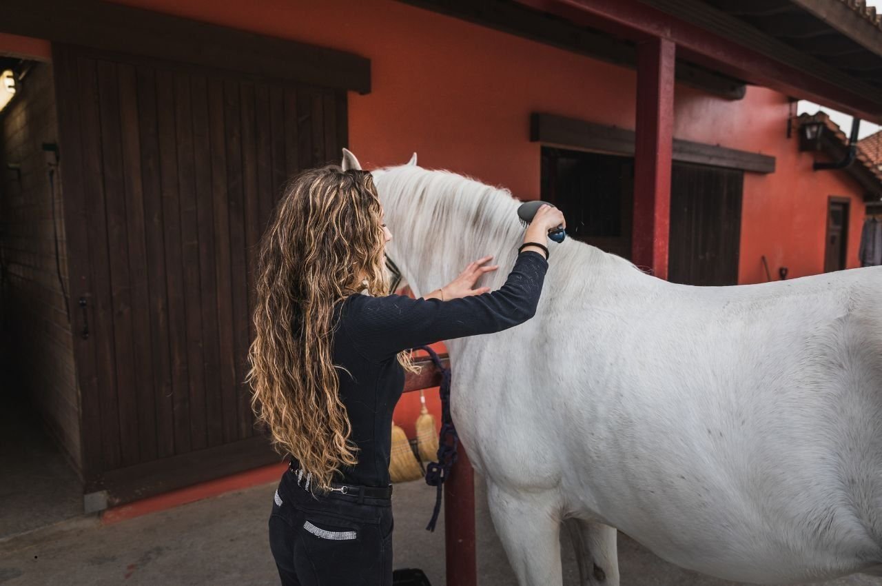 Horse Grooming: 5 Ways to Improve Your Horse’s Coat