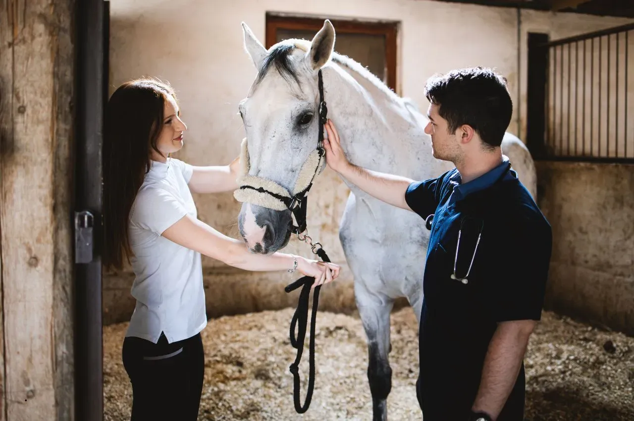 Horse Health Check: 10 Warning Signs You Shouldn’t Ignore