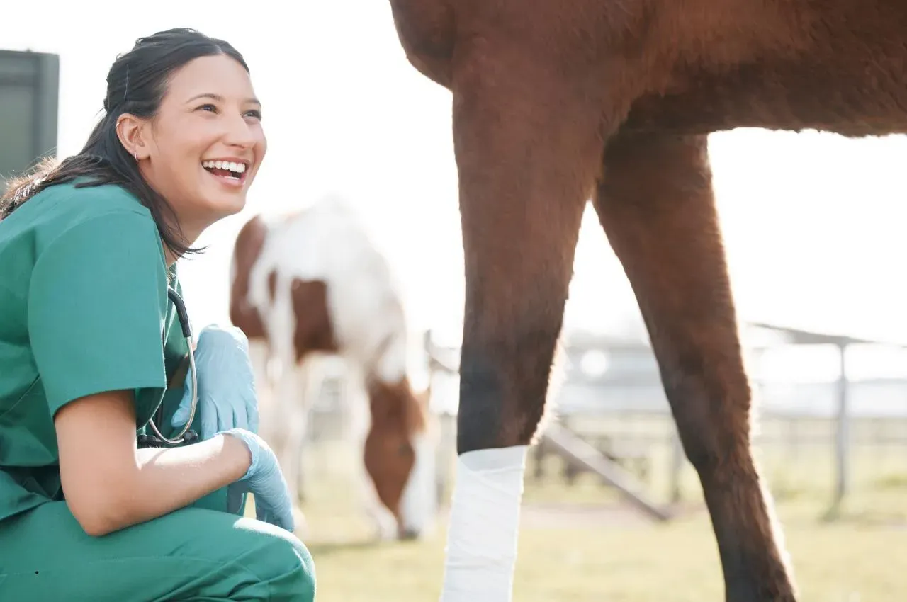 Horse Joint Health: 7 Tips to Prevent Lameness