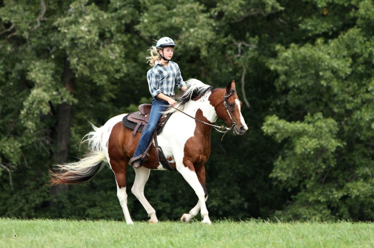 Unique Horse Names: 25 Distinct Names for Your Steed