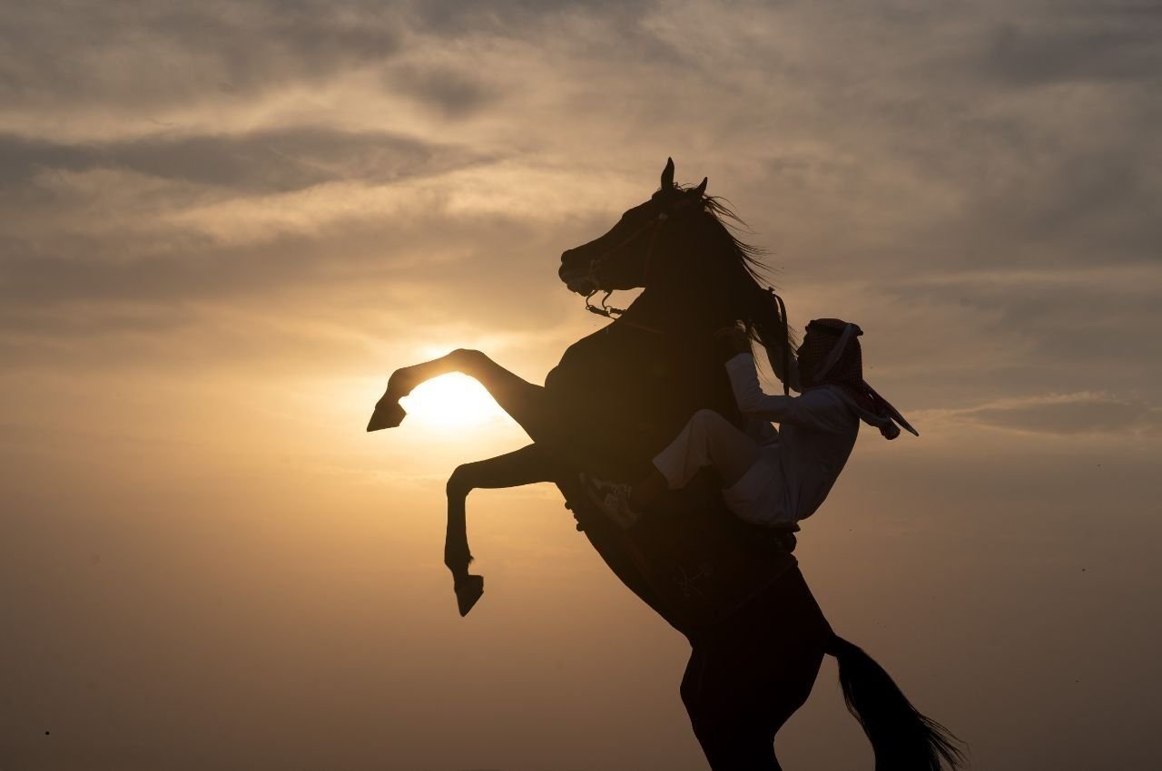 Horse Health: 7 Ways to Boost Your Horse’s Immunity