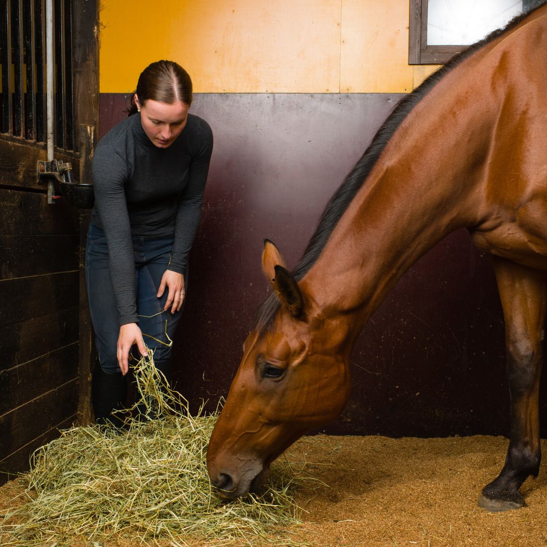 Home 8 goldfields Feed