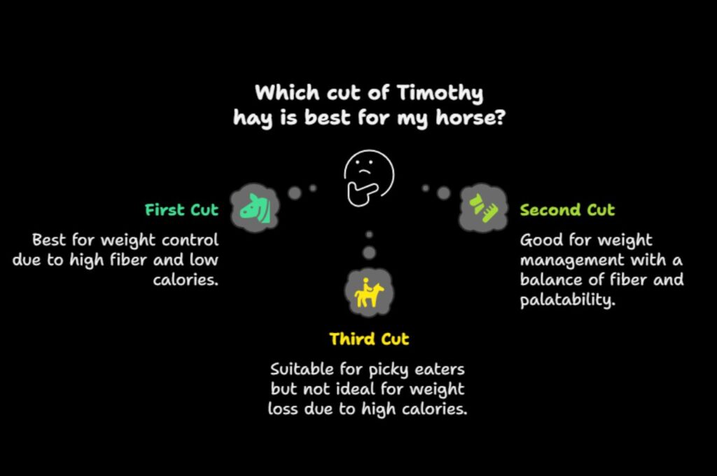 Timothy Hay: 7 Weight Loss Tips for Horses 2 Timothy Hay