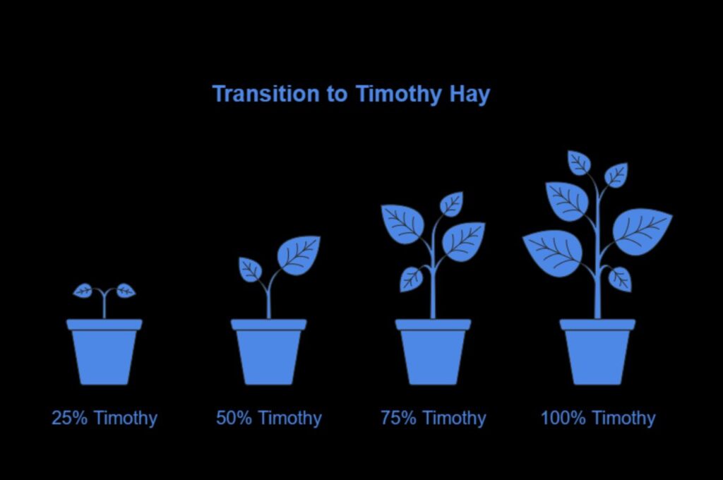 Timothy Hay: 7 Weight Loss Tips for Horses 4 Timothy Hay