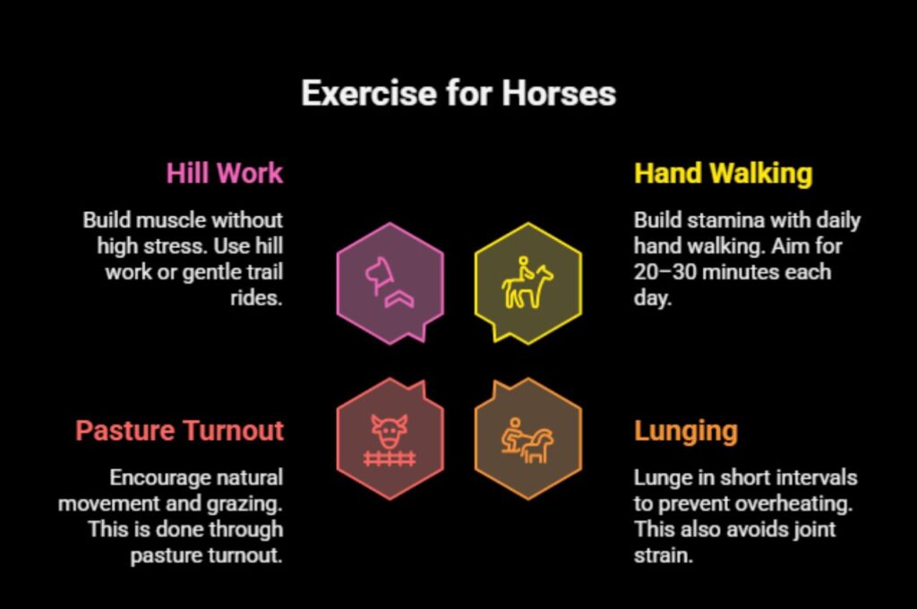 Timothy Hay: 7 Weight Loss Tips for Horses 6 Timothy Hay
