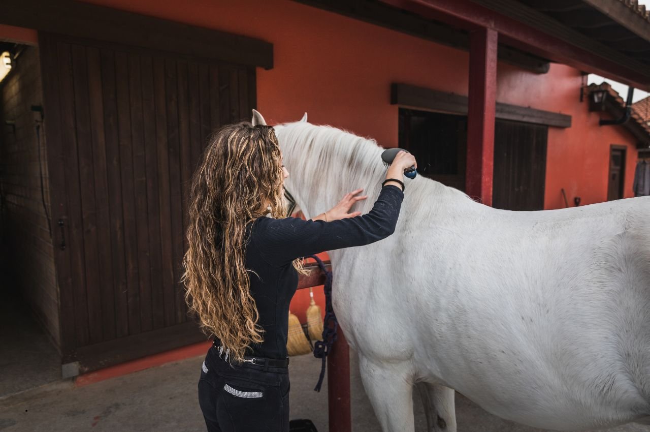 Horse Grooming