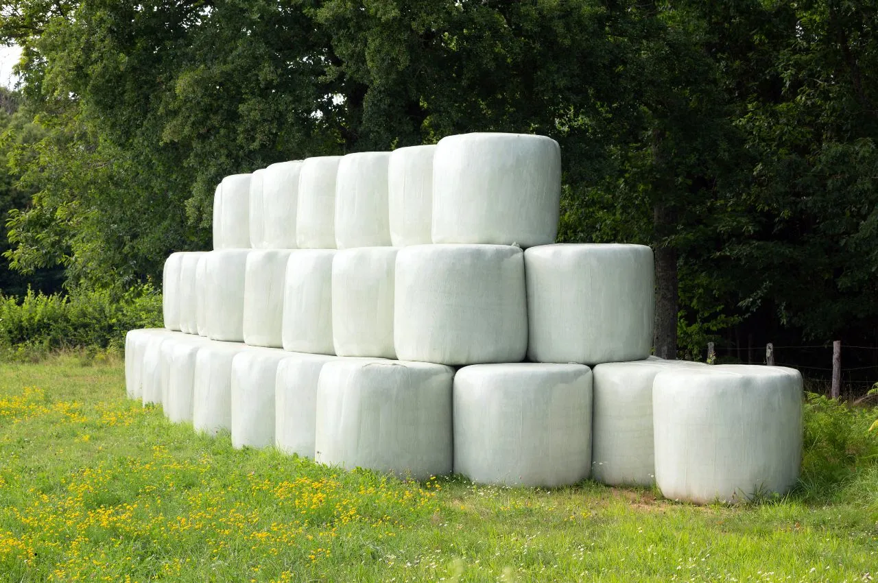 How to Store Hay Safely
