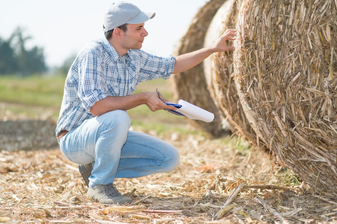 How to Test Hay Quality