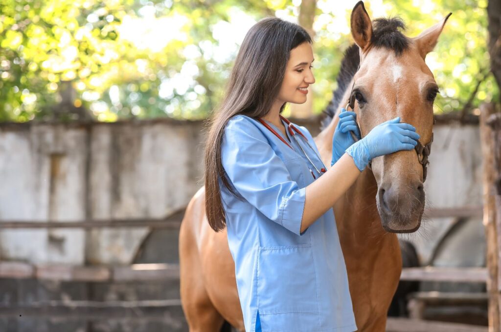 Mental Health in Horses: 6 Ways to Boost Mood 1 Mental Health in Horses