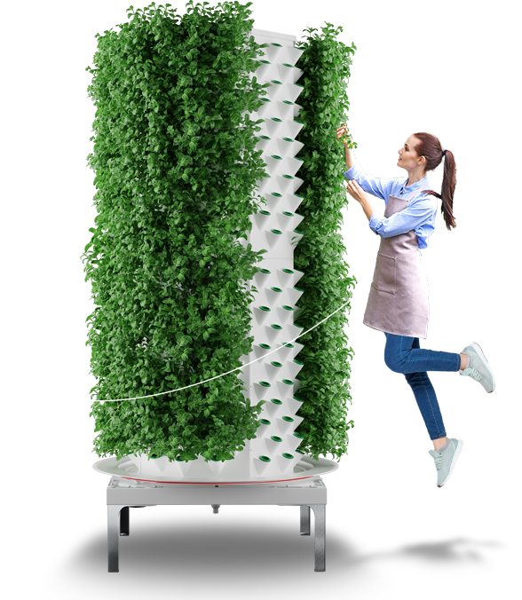 Aeroponics 2 Tour femme