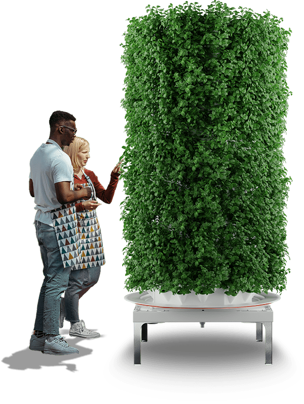 Aeroponics 3 tour 2 personnes